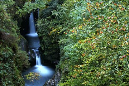 Los ecosistemas del parque natural Saja-Besaya (en la foto), el más extenso de Cantabria con sus 24.500 hectáreas, ofrecen áreas de pastizales, de acebedas, de abedulares, de brezales y de escobales, junto con bosques de roble y haya. Y múltiples posibilidades para el senderismo y la bicicleta de montaña: desde un sendero de la naturaleza de unos dos kilómetros adaptado a personas con discapacidad visual en Ruente hasta la Ruta de Bárcena Mayor al Pozo de la Arbencia, lineal, de 20 kilómetros, que se puede hacer andando o en bici. El centro de interpretación organiza excursiones (a Fonfría o un itinerario Mozagro-Camino del Requeté) y talleres familiares: el próximo, previsto en principio para el 10 de abril, es un seguimiento de fauna a través de sus huellas. <a href="https://redcantabrarural.com/post-portfolio/centro-de-interpretacion-pn-saja-besaya-y-enp-de-saja-nansa/ " rel="nofollow" target="_blank">redcantabrarural.com</a>