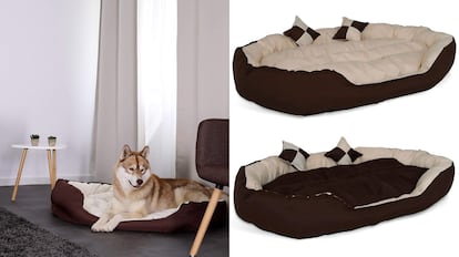 camas para perros, cama perro grande, camas para perros Ikea, las mejores camas para perros, ¿qué tipo de cama es mejor para perros?, camas para perros amazon, camas para perros originales, camas para perros baratas, camas para perros pequeños, cómo hacer camas para perros