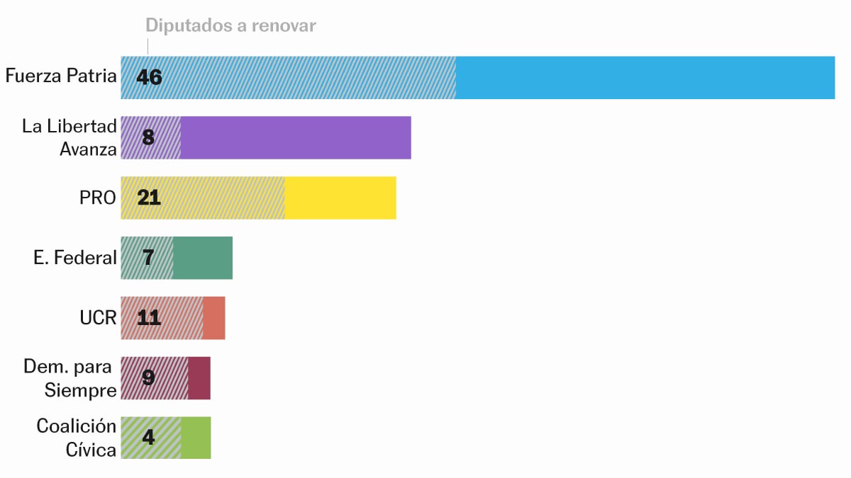 Qué se elige en las elecciones legislativas de Argentina y por qué son cruciales