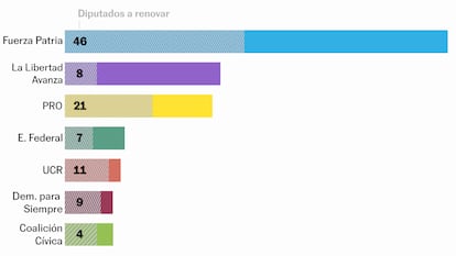 Qué se elige en las elecciones legislativas de Argentina y por qué son cruciales