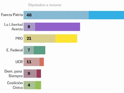 Qué se elige en las elecciones legislativas de Argentina y por qué son cruciales