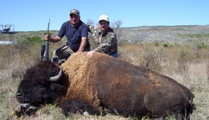 Fotografía difundida por el sitio web del rancho Buena Vista, donde ofrecían el servicio de cacería del bisonte americano.