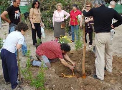 Los vecinos imputados, en el momento de plantar la morera el pasado 20 de abril.