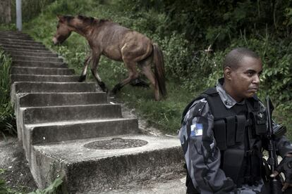 Un caballo trota escaleras arriba tras un oficial de la Policía antidisturbios durante la ocupación de una favela perteneciente al grupo de comunidades Complexo do Alemao, en Río de Janeiro. Brasil, 26 de abril de 2012.