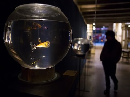 Una de les peixeres d'Aquarium, de l'artista Miquel Aparici, a la galeria Tekhnart.