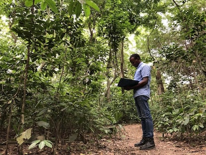 Como decenas de estudiantes, Jean-Luc Jordan utiliza el jardín botánico de la Unikis como biblioteca al aire libre para preparar sus exámenes, en Kisangani. En 2005, solo había seis investigadores con máster o doctorado en ciencias forestales en toda la RDC, pero ahora está emergiendo una nueva generación de expertos en gestión sostenible de bosques tropicales.