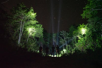 Un grupo de guardabosques del Proyecto Ateles hace un recorrido nocturno para vigilar la zona de posibles invasiones ilegales.