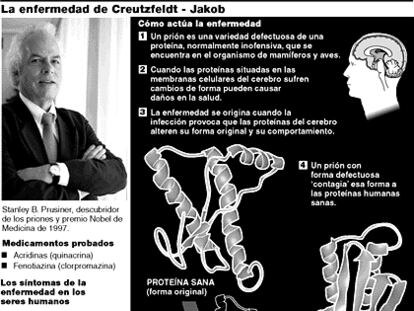 GRÁFICO