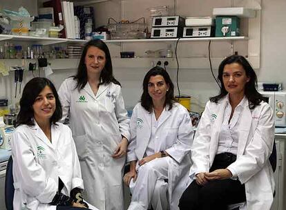 De izquierda a derecha, las investigadoras Asunción Sánchez-Mejías, Raquel Fernández, Macarena Ruiz y Salud Borrego.
