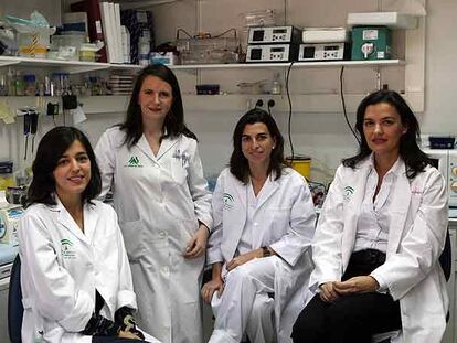 De izquierda a derecha, las investigadoras Asunción Sánchez-Mejías, Raquel Fernández, Macarena Ruiz y Salud Borrego.