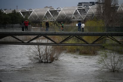 Several people contemplate this Thursday the show of an Manzanares runaway in the Parque de Madrid Río.