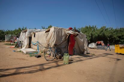 Un grupo de chabolas muy cerca de donde se encuentran los dos albergues para temporeros de Lepe (Huelva).