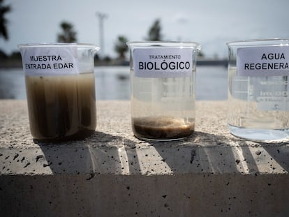 El agua residual al entrar en la depuradora de Alguazas (Murcia), tras el tratamiento biológico y una vez terminado el proceso completo para su reutilización.