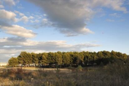 Campamento Benítez en Málaga.