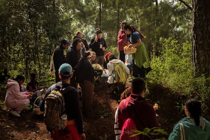 Como parte del festival, sea realizaron caminatas en el bosque con guías locales para recolectar a identificar hongos de la región.