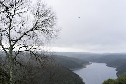 Río Tajo en su paso por Parque Nacional de Monfragüe. Vista desde el Castillo.