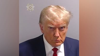 Donald Trump, in his mug shot.