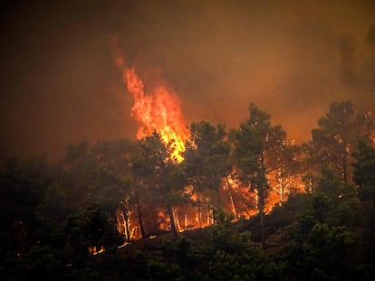 El incendio en la isla de Rodas (Grecia) quema un monte de pinos este sábado.