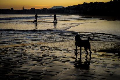 Dos hombres salen del agua al amanecer en la playa de Ondarreta, en San Sebastián.