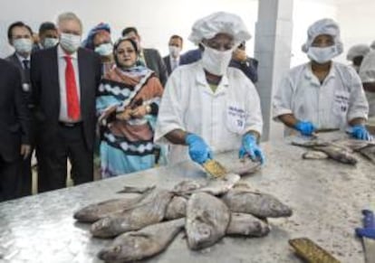 El ministro español de Asuntos Exteriores, José Manuel García-Margallo (2-i), junto a la directora de la Cooperativa de Mujeres de procesado de pescado, "Mauritanie 2000", Netwa Mint,  durante su visita hoy al proyecto "Mejora de acceso al consumo de pescado y refuerzo de la seguridad alimentaria".