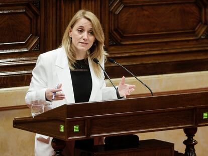 La consejera de Economía, Natàlia Mas, durante su intervención en el Parlament este martes.