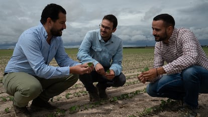 Pablo Redondo, responsable de Compras Agro de Pascual, (izquierda) junto a su equipo.