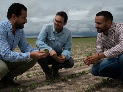 Pablo Redondo, responsable de Compras Agro de Pascual, (izquierda) junto a su equipo.