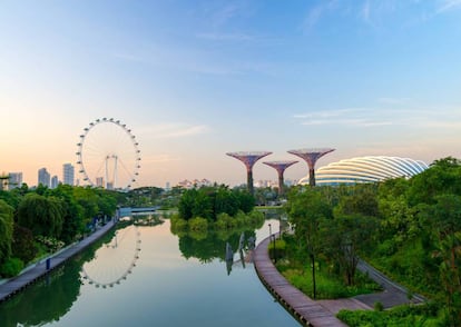 La bahía de Singapur se ha convertido en un centro de innovación que integra tecnología con naturaleza. A la derecha, los Super Trees, unos jardines verticales diseñados por el estudio de arquitectura y paisajismo Grant Associates. Forman parte del proyecto Jardines junto a la bahía, de la red de parques nacionales de Singapur, con el que se pretende cultivar 226.000 plantas de todos los ecosistemas. |