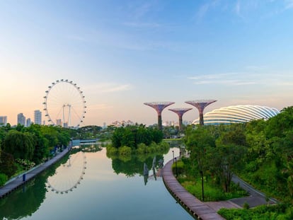 La bahía de Singapur se ha convertido en un centro de innovación que integra tecnología con naturaleza. A la derecha, los Super Trees, unos jardines verticales diseñados por el estudio de arquitectura y paisajismo Grant Associates. Forman parte del proyecto Jardines junto a la bahía, de la red de parques nacionales de Singapur, con el que se pretende cultivar 226.000 plantas de todos los ecosistemas. |