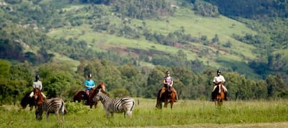 Recorrido guiadado y a caballo en Mlilwane, en Suazilandia.