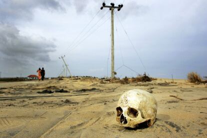 El 26 de diciembre de 2004, un terremoto de magnitud 9,15 frente a la costa de la provincia indonesia de Aceh provocó un tsunami en el océano Índico que mató a alrededor de 226.000 personas en Indonesia, India y Sri Lanka. En la imágen, un cráneo que quedó al descubierto en un mar de arena tras el suceso.