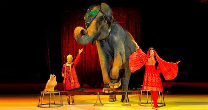 Espectáculo del circo Quirós. La foto procede de su página web.
