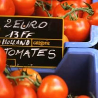 Los tomates, el producto fresco que más bajó su precio en agosto de 2009