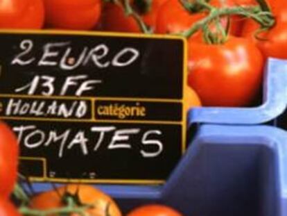 Los tomates, el producto fresco que más bajó su precio en agosto de 2009