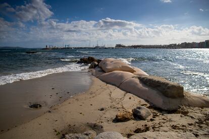 La playa de Carabuxeira (Sanxenxo), donde se han instalado geotubos para evitar que desaparezca la arena tras el cambio de corrientes provocado por el espigón del puerto deportivo, al fondo.