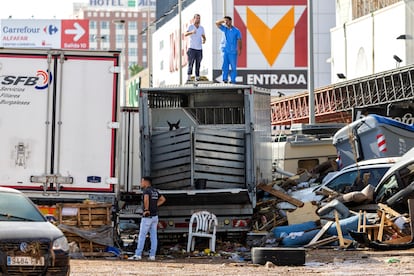 Un camión parado con un caballo en el tramo de la V31 junto al polígono comercial de Alfafar, Sedaví, este jueves.