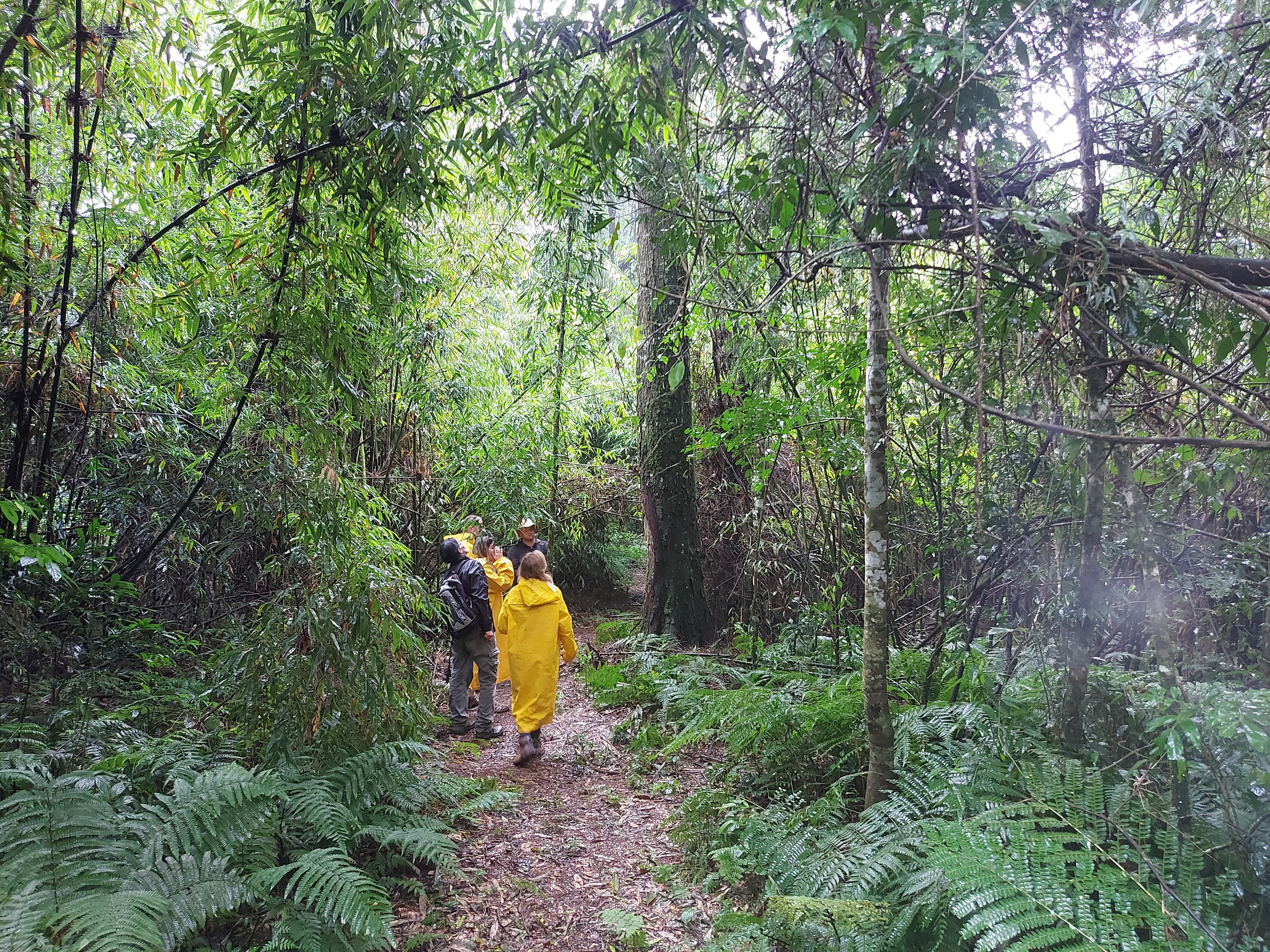 Senderistas durante una visita a la Reserva de la Biosfera Yabotí, en El Soberbio, (Misiones).