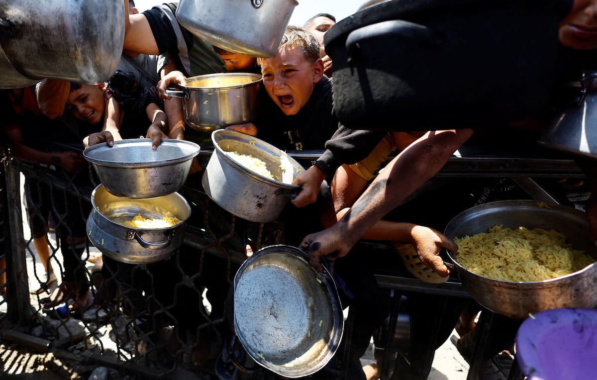 RUTF, the miracle food against malnutrition blocked by the USAID debacle
