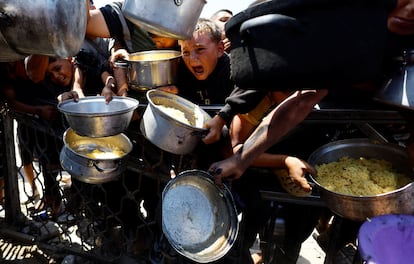 RUTF alimento contra la desnutrición