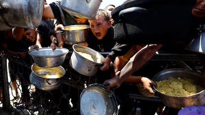 RUTF alimento contra la desnutrición