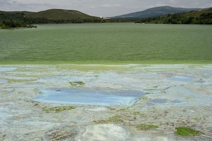 Mancha t&oacute;xica en el embalse de As Conchas en el r&iacute;o Limia