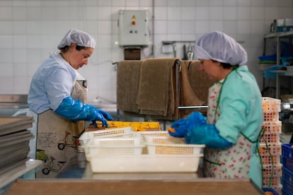 Dos trabajadoras de la empresa NaturSnacks seleccionan pedazos de naranja para deshidratar.