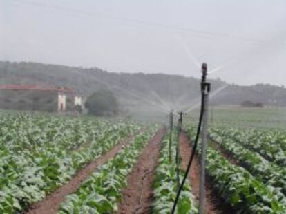 El campo pone en barbecho la modernización del riego