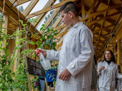 Los alumnos cuidan el huerto orgánico que abastece de frutas y verduras al comedor escolar.