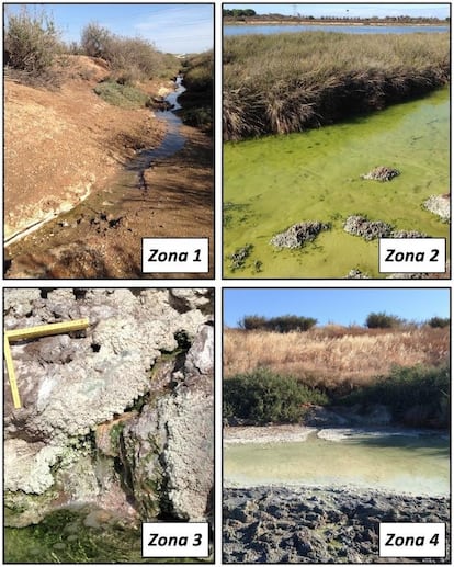 Inflitraciones de aguas tóxicas de los fosfoyesos en la ría de Huelva.