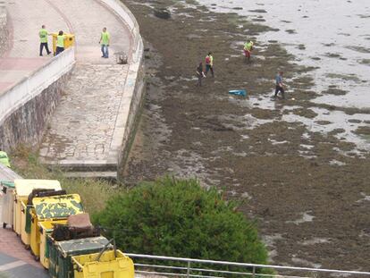 Contenedores contra la basura en O Burgo