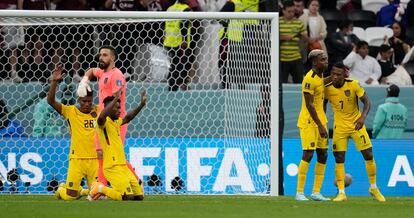 Los jugadores de Ecuador celebran su victoria por dos goles a cero contra Qatar, lo que les coloca en una situación favorable para clasificarse para los cruces de octavos de la Copa del Mundo. Antes, necesitará medirse a Senegal y Países Bajos, la favorita de este grupo A. 