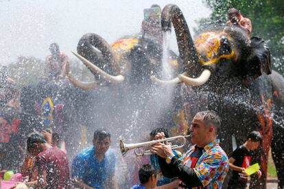 El Songkran o Guerra del agua es una de las fiestas más importantes de Tailandia, con la que se celebra el año nuevo budista. En la imagen, un hombre toca la trompeta mientras los elefantes mojan a los participantes en el festival en Ayutthaya, al norte de Bangkok.