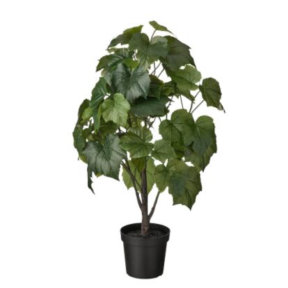 plantas de exterior, plantas de interior, flores y plantas ikea, macetas ikea, macetas, plantas y jardinería ikea, ikea plantas artificiales grandes, ikea plantas colgantes, ikea plantas exterior.