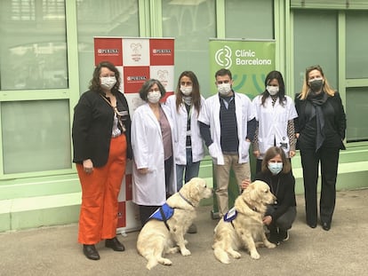 Investigadores especialistas en salud mental del Clínic, profesionales del CTAC y representantes de Purina tras presentar el estudio.